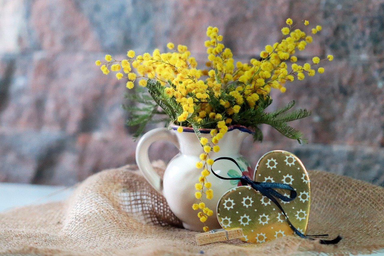 mimosa, flowers, gift